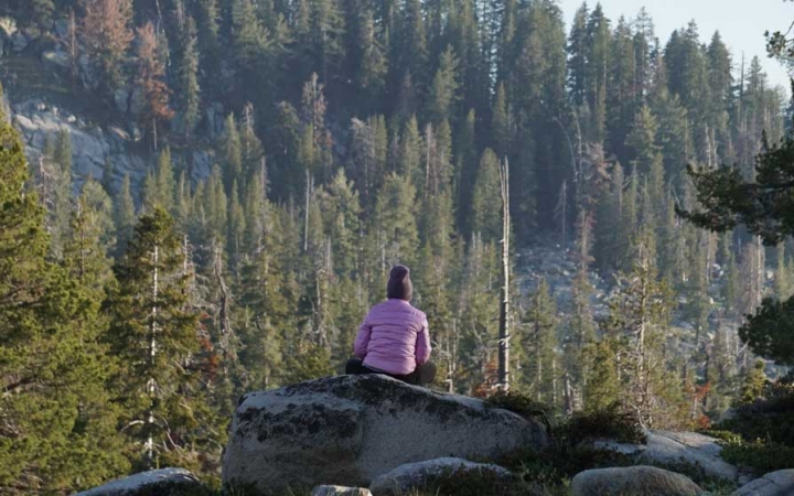 A person sits on a rock with their back to the camera. They are facing a steep slope covered in trees.